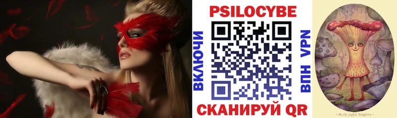 Псилоцибиновые грибы Cubensis  Шарыпово 