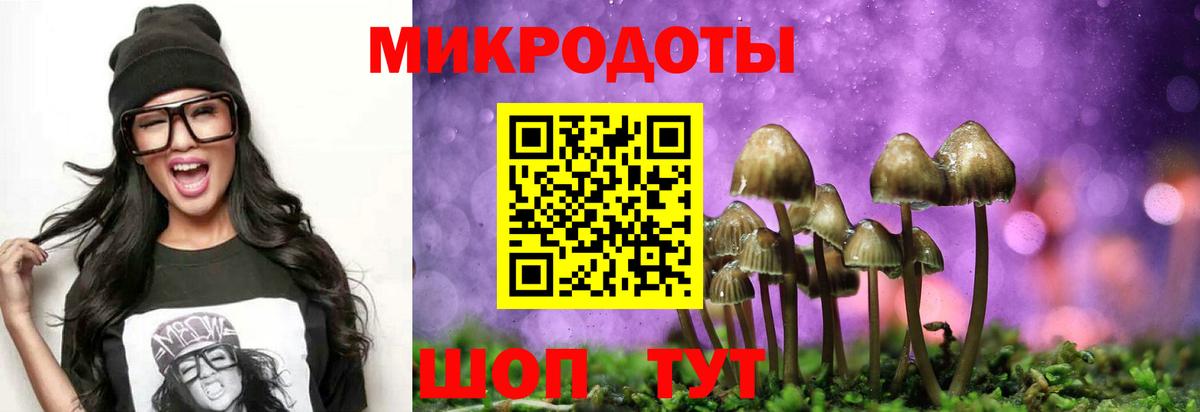 Галлюциногенные грибы GOLDEN TEACHER Шарыпово